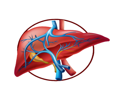 Hepatitis B Medicine